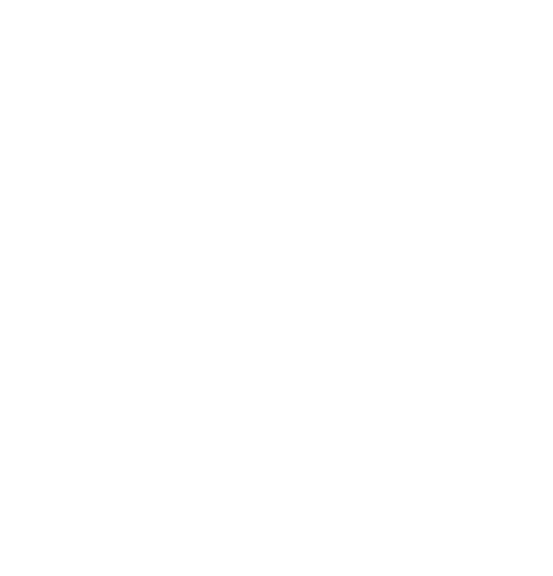 Asian Chamber globe